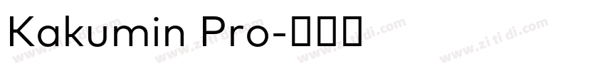 Kakumin Pro字体转换